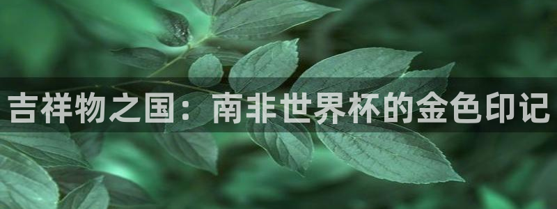 世界杯直播网:吉祥物之国:南非世界杯的金色印记
