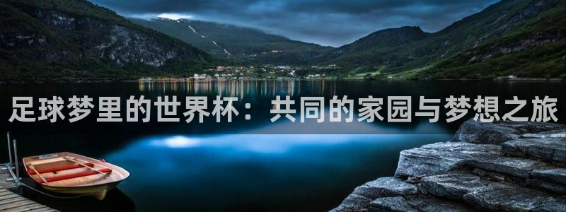欧洲区世界杯预选赛:足球梦里的世界杯:共同的家园与梦想之旅