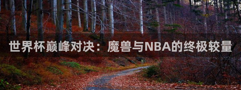 2026年足球世界杯赛程时间表:世界杯巅峰对决:魔兽与NBA的终极较量