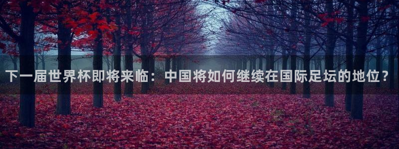 足球世界杯预选赛:下一届世界杯即将来临:中国将如何继续在国际足坛的地位?
