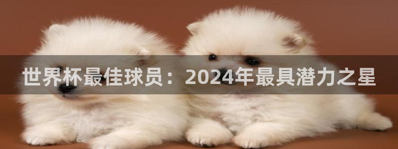 2026年世界杯直播平台:世界杯最佳球员:2024年最具潜力之星