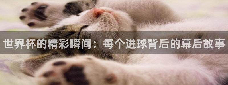 2026世界杯日期:世界杯的精彩瞬间:每个进球背后的幕后故事