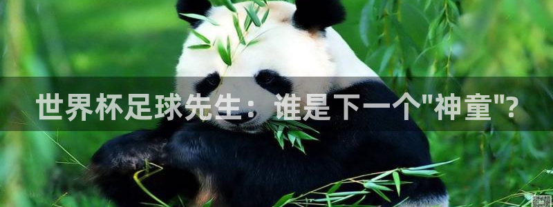 世界杯第一场比赛:世界杯足球先生:谁是下一个\